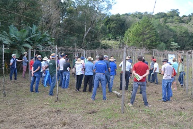 Dia de Campo com a Embrapa